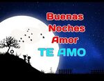 🌜 🌲 💕 🌲 🌛 Deseale buenas noches a tu pareja 🌜 🌲 💕 🌲 🌛 Tarjet